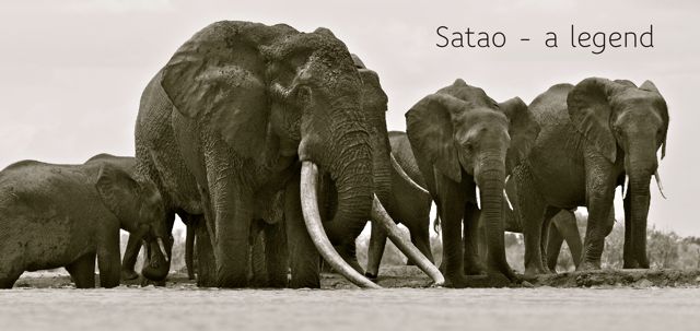 Satao - legend just title